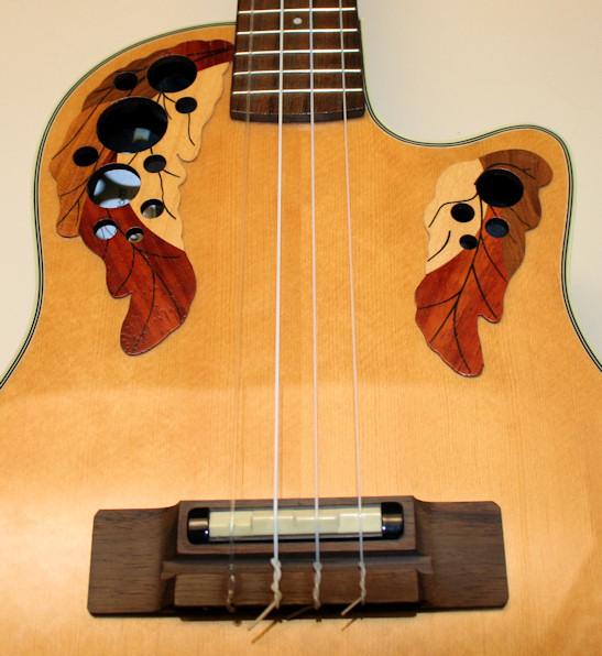 Applause front showing sound holes and bridge