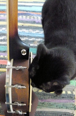 Abby and Gold Tone banjo uke