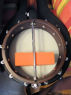 Gold Tone inside with sponge dampener