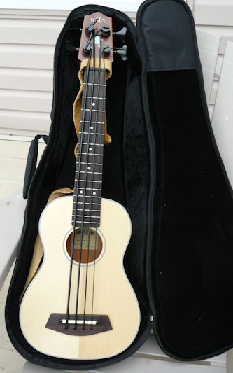 U-bass in gig bag