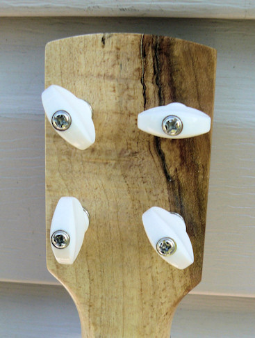 Waverly Street friction tuners